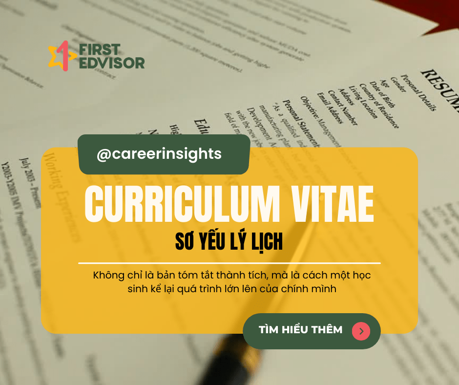 251216 curriculum vitae