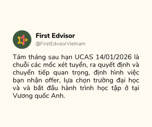 260115 tám tháng sau ucas deadline điều gì sẽ xảy ra